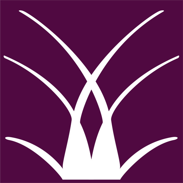 846847dc1f206ccdc2a28819a8653d04